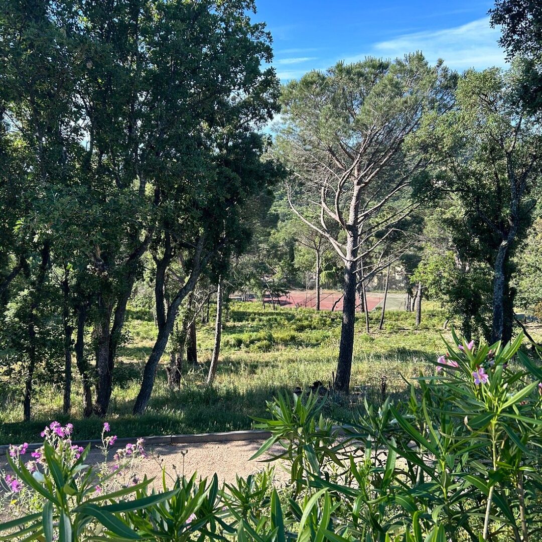 Le terrain